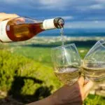 Día del Vino Mexicano reúne catas, maridajes y experiencias para promover las etiquetas nacionales durante octubre.
