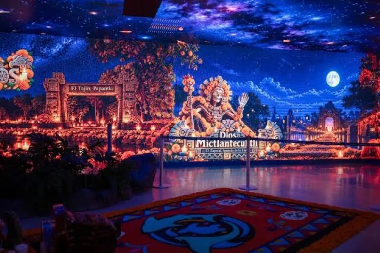 Altar de Día de Muertos con flores de cempasúchil y elementos tradicionales en un espacio inspirado en el Aquarium de Veracruz.