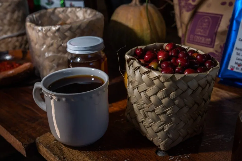 Café mexicano gana presencia por su tradición, exportaciones y el trabajo de productores de diferentes regiones del país.